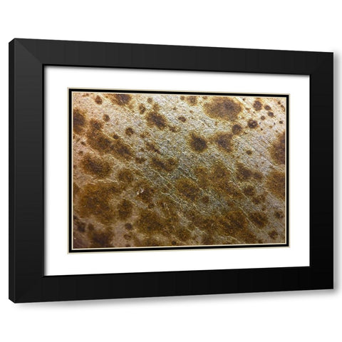 Silver Texture I Black Modern Wood Framed Art Print with Double Matting by Grayscale