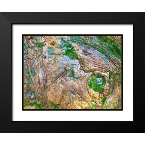 Wood Texture V Black Modern Wood Framed Art Print with Double Matting by Grayscale