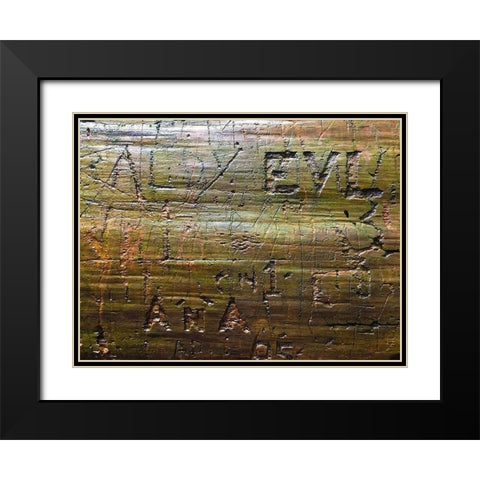 Wood Texture VII Black Modern Wood Framed Art Print with Double Matting by Grayscale