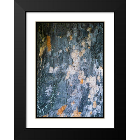 Bark Scales IV Black Modern Wood Framed Art Print with Double Matting by Grayscale