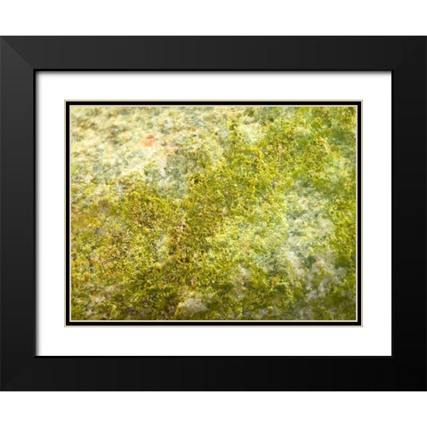 Jade Sand I Black Modern Wood Framed Art Print with Double Matting by Grayscale