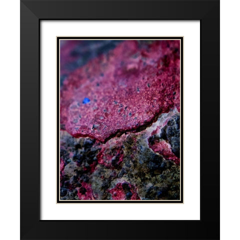 Red Aggregate I Black Modern Wood Framed Art Print with Double Matting by Grayscale