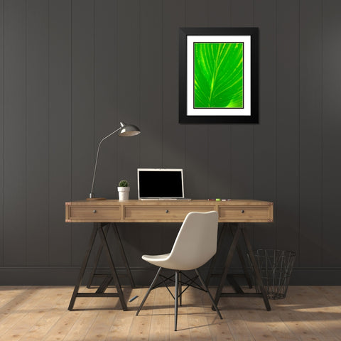 Green Leaf III Black Modern Wood Framed Art Print with Double Matting by Grayscale