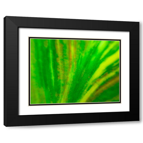 Green Leaf IV Black Modern Wood Framed Art Print with Double Matting by Grayscale