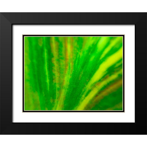 Green Leaf IV Black Modern Wood Framed Art Print with Double Matting by Grayscale