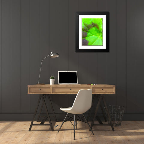 Spiral Leaf I Black Modern Wood Framed Art Print with Double Matting by Grayscale
