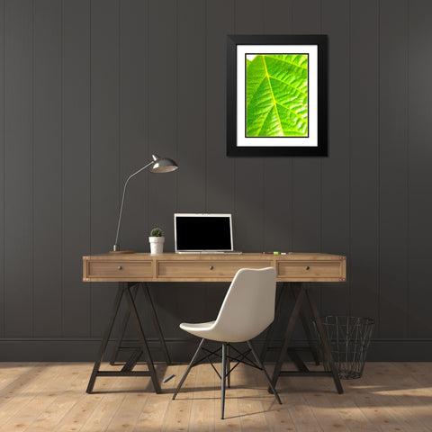 Green Leaf V Black Modern Wood Framed Art Print with Double Matting by Grayscale