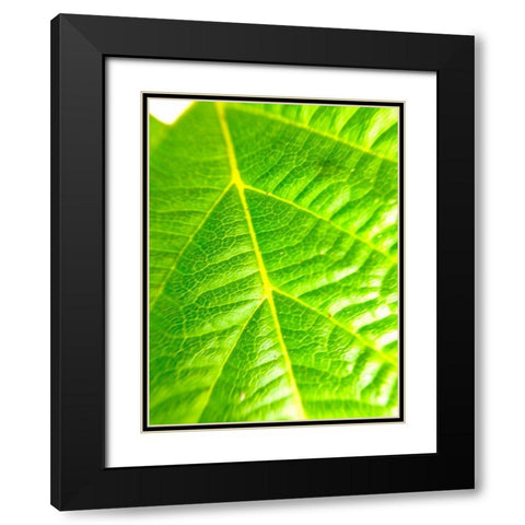 Green Leaf V Black Modern Wood Framed Art Print with Double Matting by Grayscale