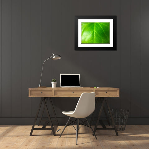 Green Leaf VI Black Modern Wood Framed Art Print with Double Matting by Grayscale
