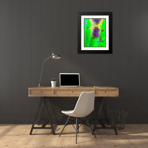 Green Leaf VII Black Modern Wood Framed Art Print with Double Matting by Grayscale