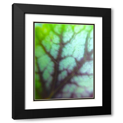 Green Leaf VIII Black Modern Wood Framed Art Print with Double Matting by Grayscale