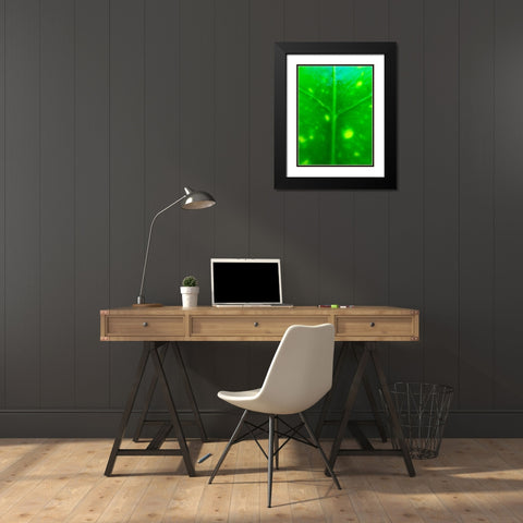 Green Leaf IX Black Modern Wood Framed Art Print with Double Matting by Grayscale