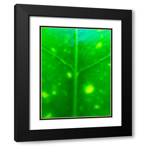 Green Leaf IX Black Modern Wood Framed Art Print with Double Matting by Grayscale