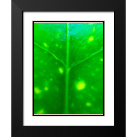 Green Leaf IX Black Modern Wood Framed Art Print with Double Matting by Grayscale
