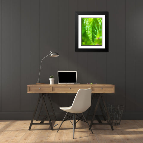 Green Leaf XI Black Modern Wood Framed Art Print with Double Matting by Grayscale