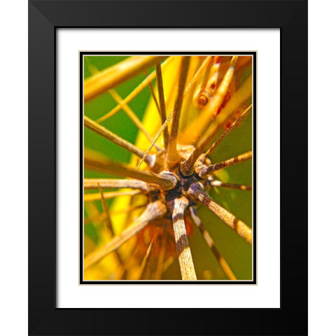 Cactus Spikes I Black Modern Wood Framed Art Print with Double Matting by Grayscale