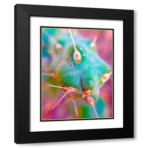 Cactus Spikes II Black Modern Wood Framed Art Print with Double Matting by Grayscale