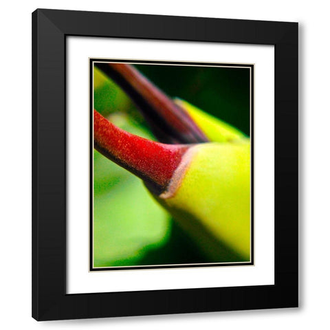 Cactus Spikes III Black Modern Wood Framed Art Print with Double Matting by Grayscale