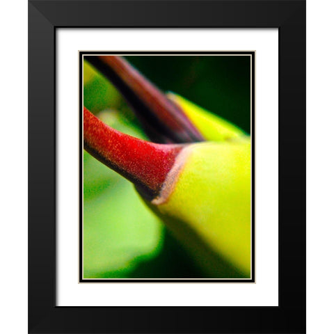 Cactus Spikes III Black Modern Wood Framed Art Print with Double Matting by Grayscale