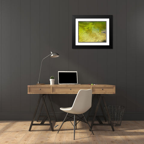 Water Scene I Black Modern Wood Framed Art Print with Double Matting by Grayscale