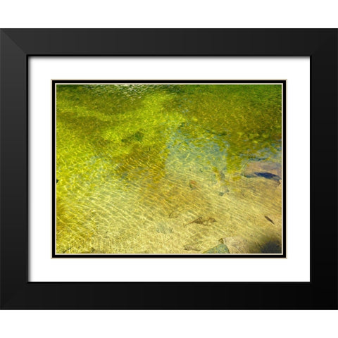 Water Scene I Black Modern Wood Framed Art Print with Double Matting by Grayscale