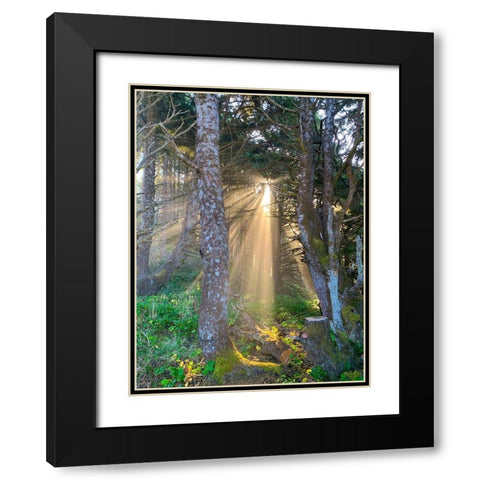 Hobbit Trail II Black Modern Wood Framed Art Print with Double Matting by Grayscale