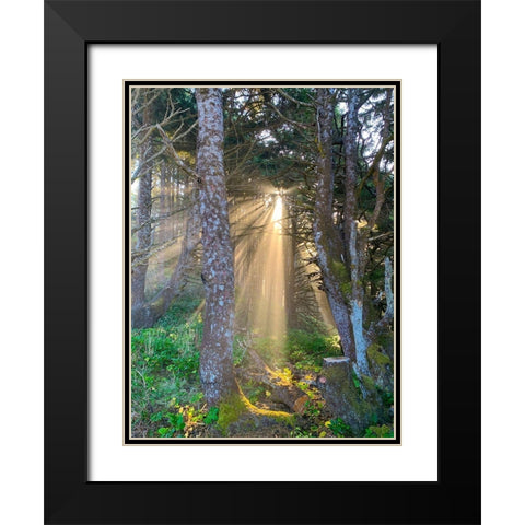 Hobbit Trail II Black Modern Wood Framed Art Print with Double Matting by Grayscale