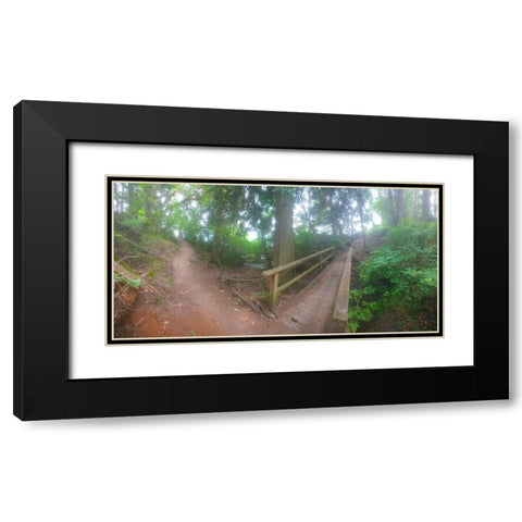 Forest Bridge I Black Modern Wood Framed Art Print with Double Matting by Grayscale