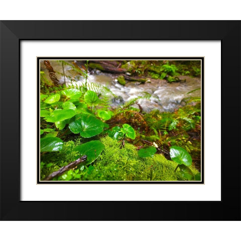Smallest Redwood Black Modern Wood Framed Art Print with Double Matting by Grayscale
