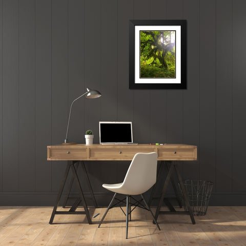 Rainforest I Black Modern Wood Framed Art Print with Double Matting by Grayscale