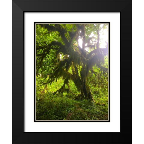 Rainforest I Black Modern Wood Framed Art Print with Double Matting by Grayscale