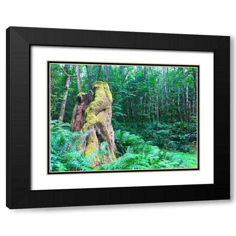 Rainforest III Black Modern Wood Framed Art Print with Double Matting by Grayscale