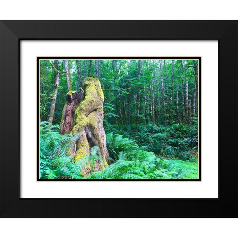 Rainforest III Black Modern Wood Framed Art Print with Double Matting by Grayscale