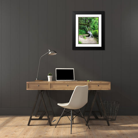 Rainforest IV Black Modern Wood Framed Art Print with Double Matting by Grayscale