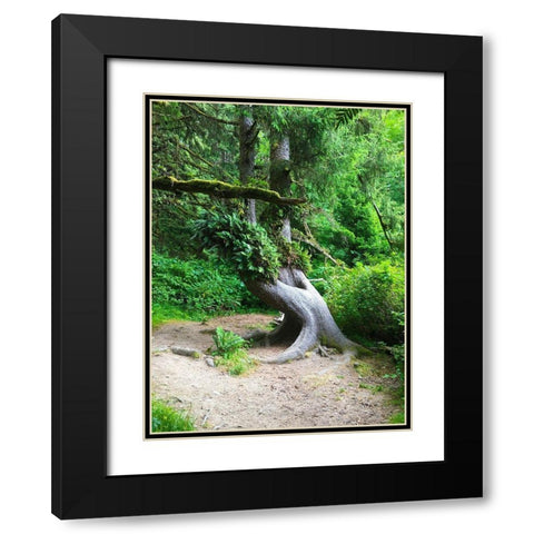 Rainforest IV Black Modern Wood Framed Art Print with Double Matting by Grayscale
