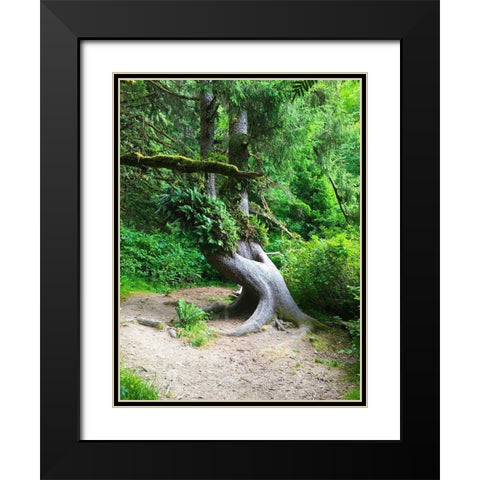 Rainforest IV Black Modern Wood Framed Art Print with Double Matting by Grayscale