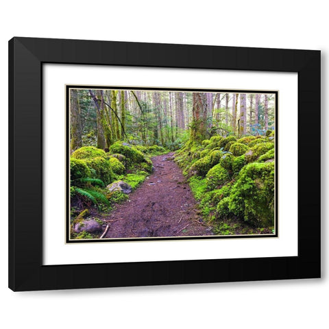 Forest Trail I Black Modern Wood Framed Art Print with Double Matting by Grayscale
