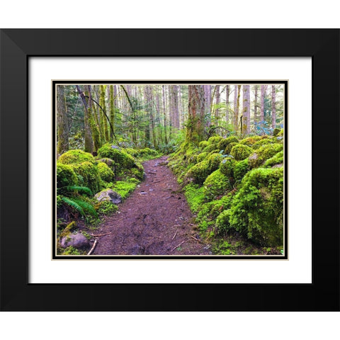 Forest Trail I Black Modern Wood Framed Art Print with Double Matting by Grayscale