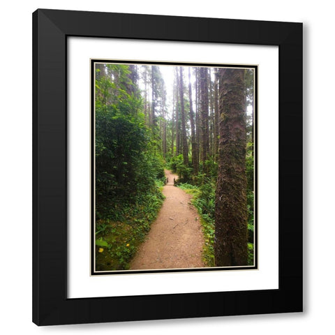 Forest Bridge II Black Modern Wood Framed Art Print with Double Matting by Grayscale