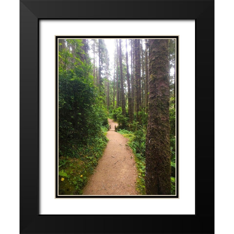 Forest Bridge II Black Modern Wood Framed Art Print with Double Matting by Grayscale