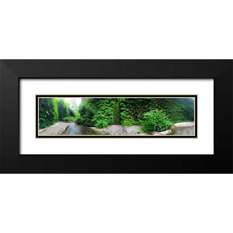 Fern Valley III Black Modern Wood Framed Art Print with Double Matting by Grayscale