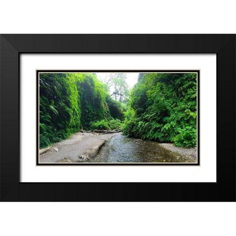 Fern Valley IV Black Modern Wood Framed Art Print with Double Matting by Grayscale