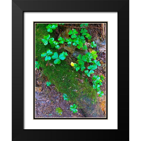 Ground Cover III Black Modern Wood Framed Art Print with Double Matting by Grayscale