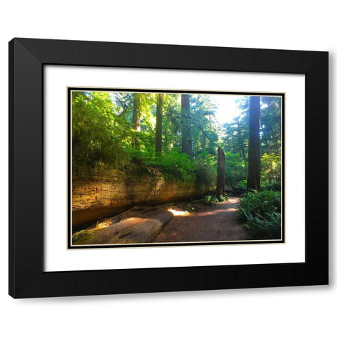 Redwood V Black Modern Wood Framed Art Print with Double Matting by Grayscale
