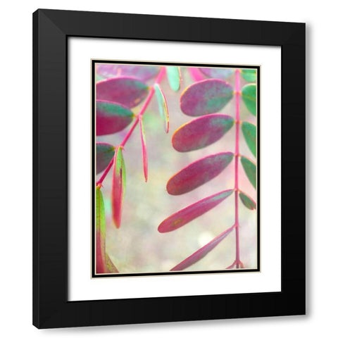 Round Leaves I Black Modern Wood Framed Art Print with Double Matting by Grayscale
