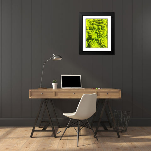 Natural Fractals III Black Modern Wood Framed Art Print with Double Matting by Grayscale