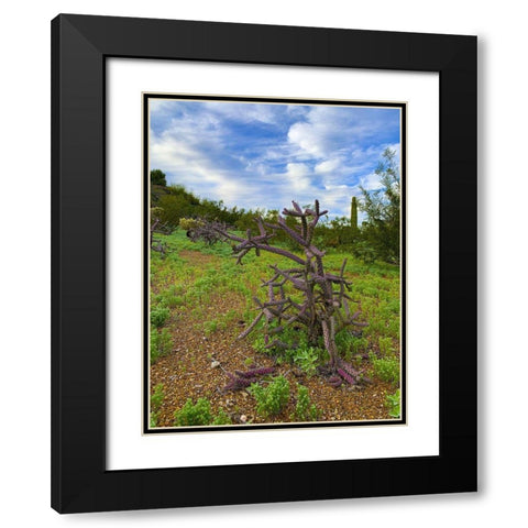 Desert Color I Black Modern Wood Framed Art Print with Double Matting by Grayscale