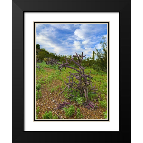 Desert Color I Black Modern Wood Framed Art Print with Double Matting by Grayscale