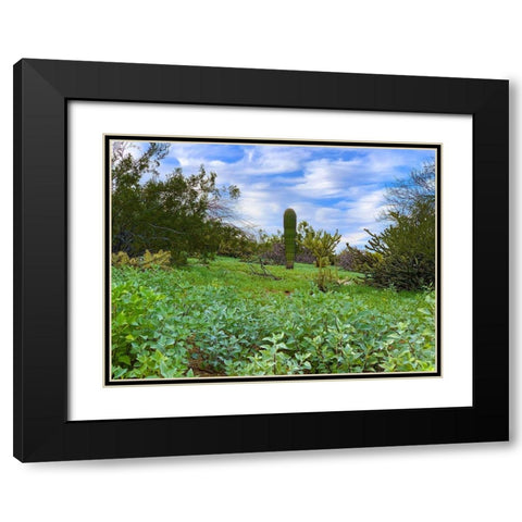Desert Color II Black Modern Wood Framed Art Print with Double Matting by Grayscale
