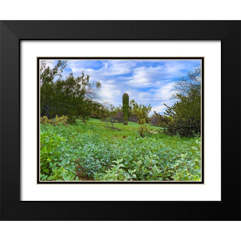 Desert Color II Black Modern Wood Framed Art Print with Double Matting by Grayscale